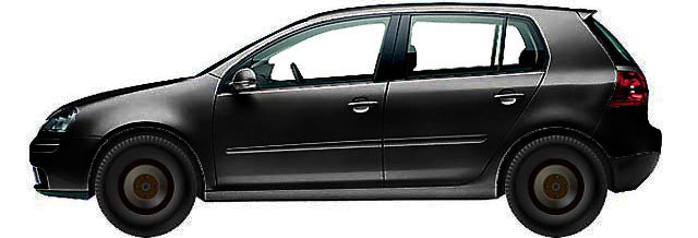 Volkswagen Golf V 1K1 Hatchback 5d (2003-2009) 1.9 TDI